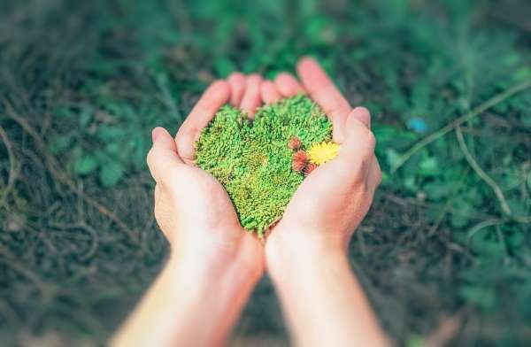 green-hand-grass-finger-yellow-soil-1549901-pxhere.com_InPixio