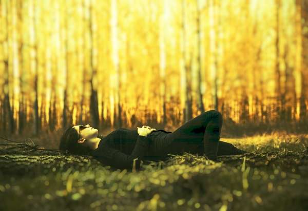 lying on ground_InPixio